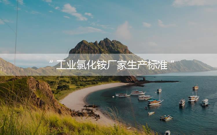 工業(yè)氯化銨廠家生產(chǎn)標(biāo)準(zhǔn)，生產(chǎn)過(guò)程進(jìn)行嚴(yán)密的監(jiān)控！